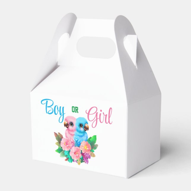 Baby Parrot Twins Favour Box (Front Side)
