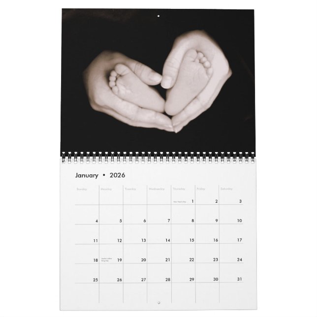 Baby Payne Calendar (Jan 2026)