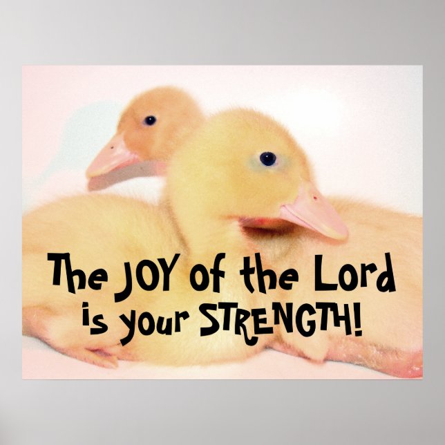 Baby Pekin Duck Duckling Bird Animal Pet Poster (Front)