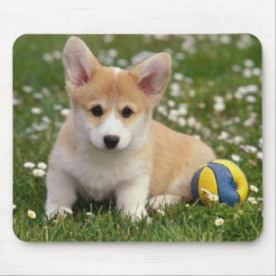 Baby Pembroke Welsh Corgi Puppy Dog Mouse Pad