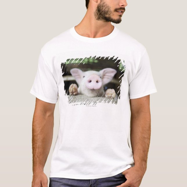 Baby Pig in Pen, Piglet T-Shirt (Front)