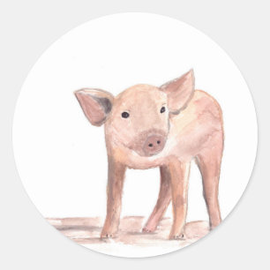 Baby piglet pig art farmer baby shower watercolor  classic round sticker