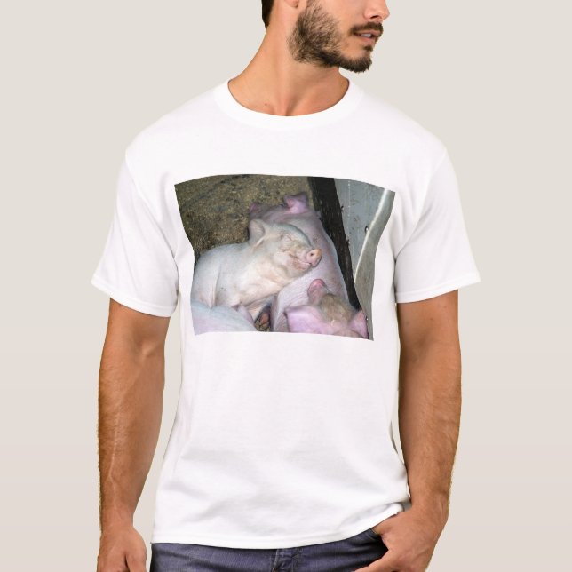 Baby pigs  T-Shirt (Front)