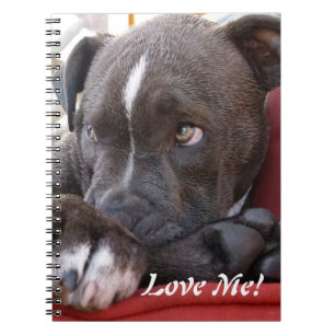 Baby Pitbull Puppies Notebook