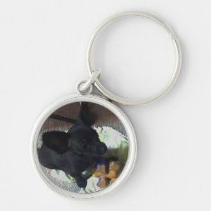 "BABY POKEMON" PREMIUM KEY CHAIN