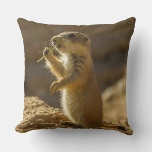 Baby prairie dog eating, Arizona Cushion