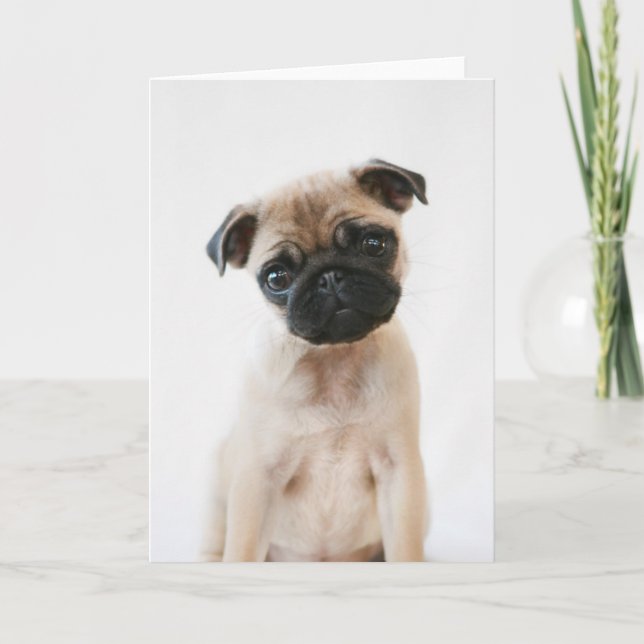 Baby Pug Portrait Card (Front)