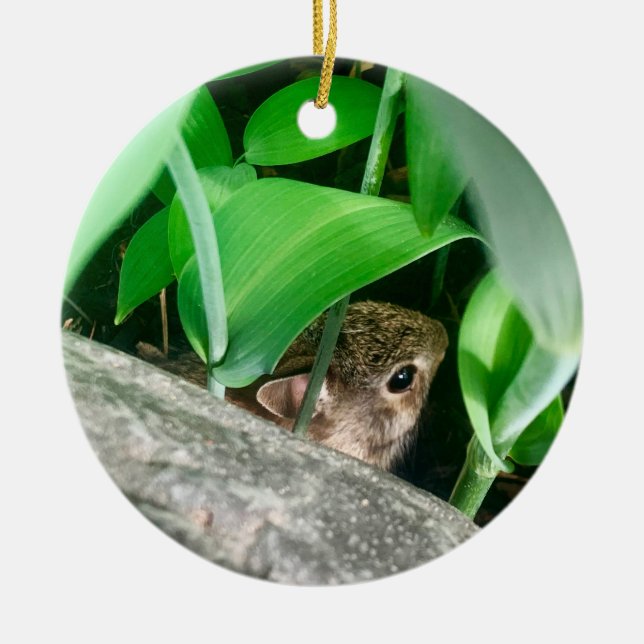 Baby Rabbit Ceramic Ornament (Front)