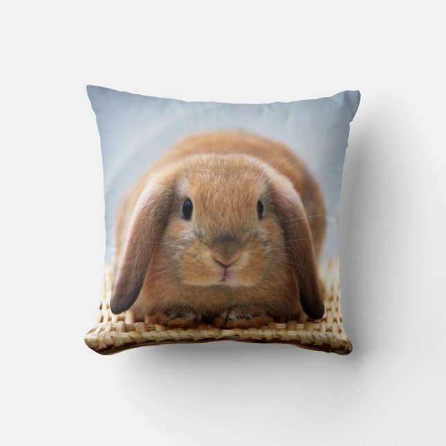 Baby Rabbit Pillow (Front)