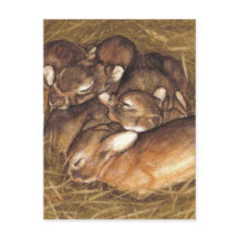 baby rabbits kits in nest art