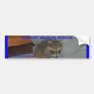 BABY RACCOON BUMPER STICKER
