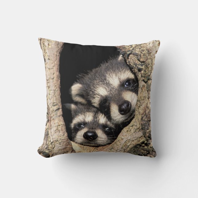 Baby raccoons in tree cavity Procyon Cushion (Front)