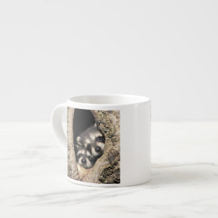 Baby raccoons in tree cavity Procyon Espresso Cup