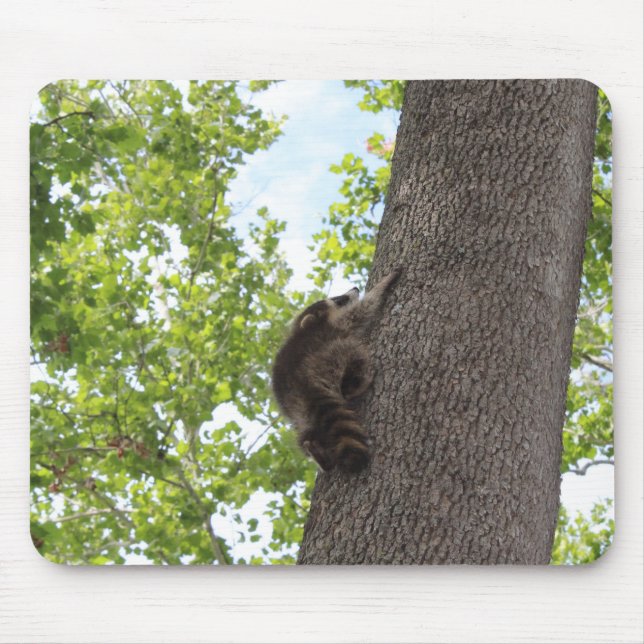 Baby Racoon Mouse Pad (Front)