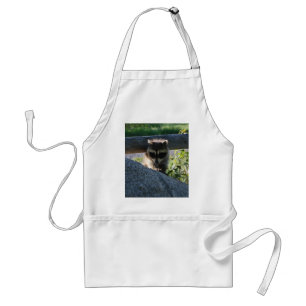 Baby Racoon Rock Photo Standard Apron