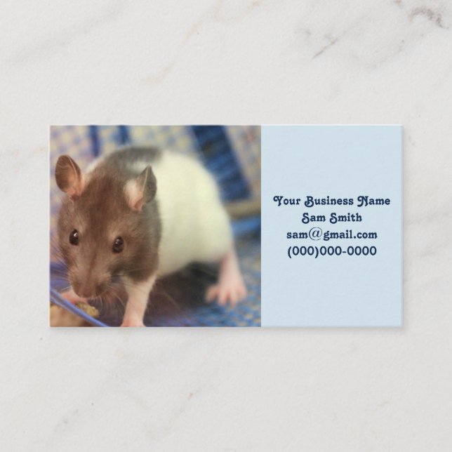 Baby rat business card (Front)