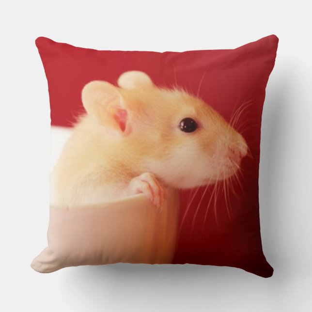 Baby Rat Cushion (Front)