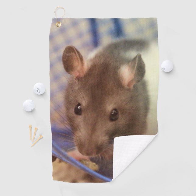 Baby rat golf towel (InSitu)