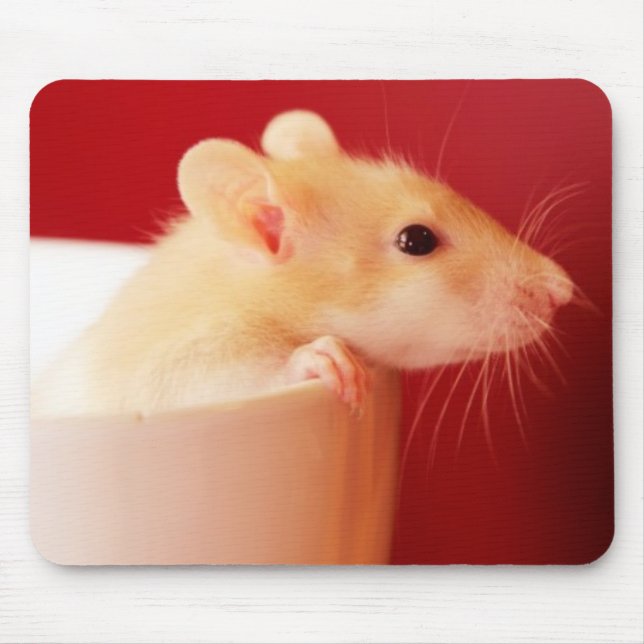 Baby Rat Mouse Pad (Front)