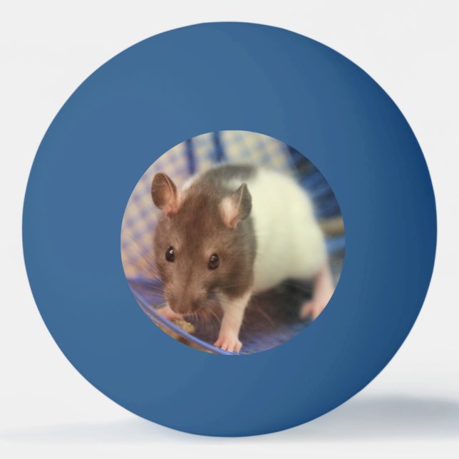 Baby rat ping pong ball (Front)