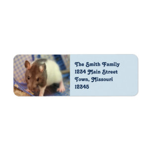 Baby rat return address label