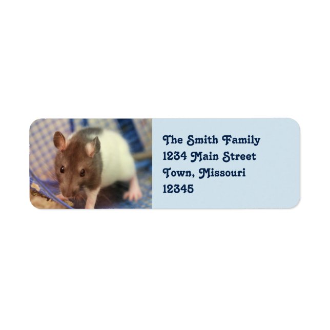 Baby rat return address label (Front)