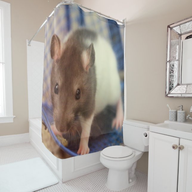 Baby rat shower curtain (In Situ)