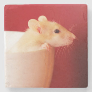Baby Rat Stone Coaster