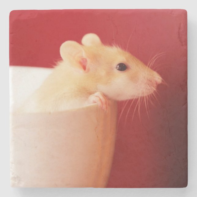 Baby Rat Stone Coaster (Front)