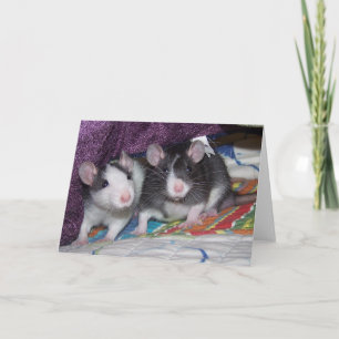 Baby Rats ~Card Card