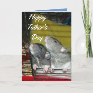 Baby rats Father's Day Card