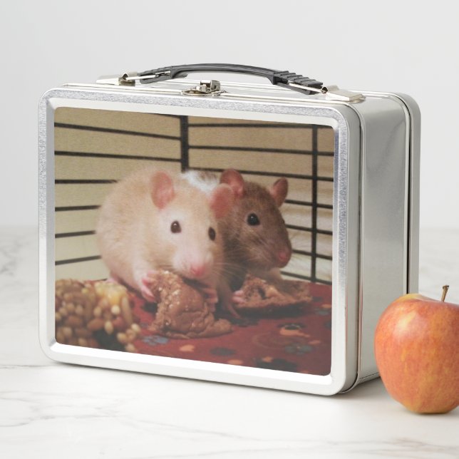 Baby Rats Lunch Box (In Situ)
