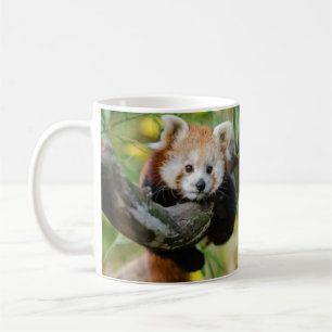 Baby red panda coffee mug