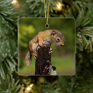 Baby Red Squirrel Ceramic Ornament