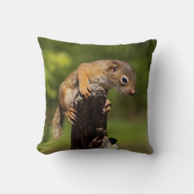 Baby Red Squirrel Cushion (Front)