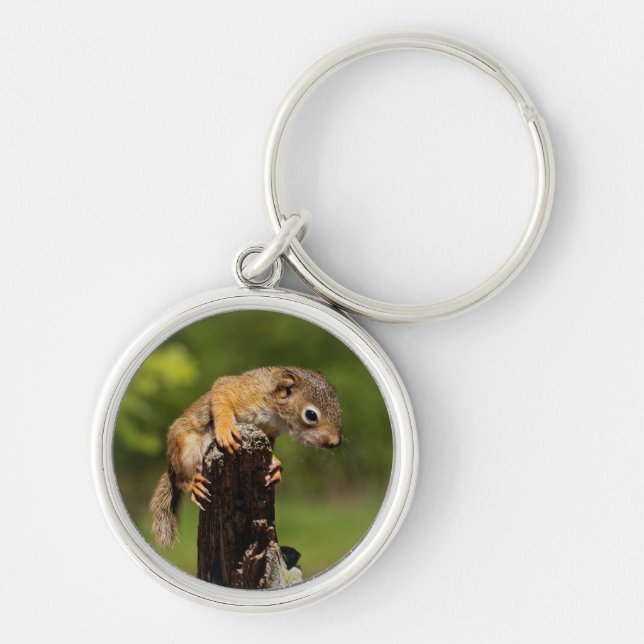 Baby Red Squirrel Key Ring (Front)