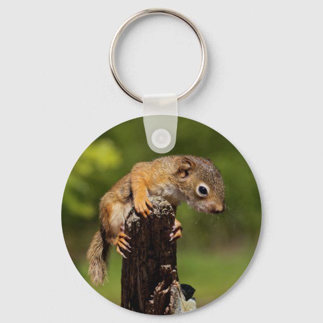Baby Red Squirrel Key Ring (Front)