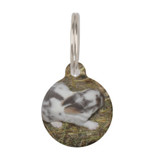 Baby Reeces Pet Tag