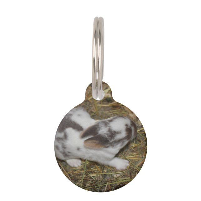 Baby Reeces Pet Tag (Front)