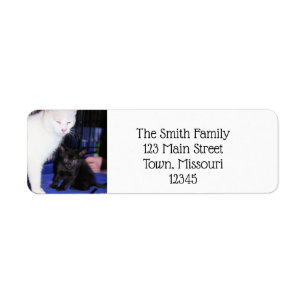 Baby Return Address Label