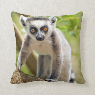 Baby ring-tailed lemur cushion