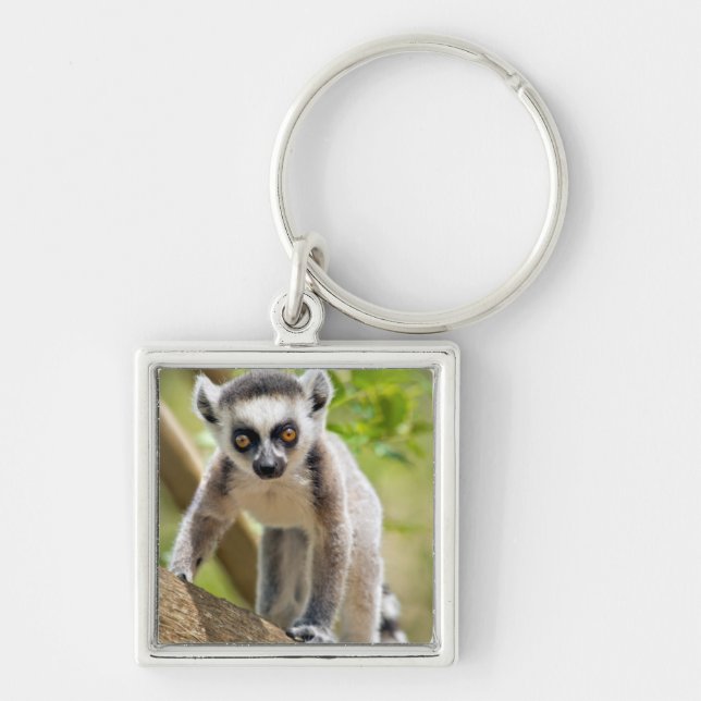 Baby ring-tailed lemur key ring (Front)