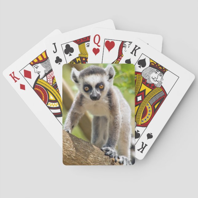 Baby ring-tailed lemur playing cards (Back)