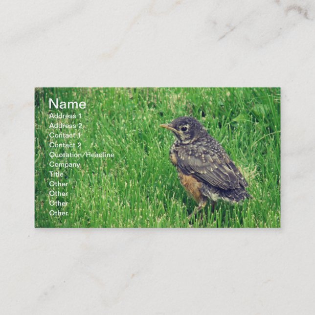 Baby Robin Business Card (Front)