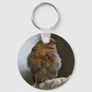Baby Robin Keyring
