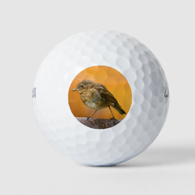 Baby Robin On A Tree Branch Golf Balls (Front)