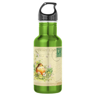 Baby Robin with Violets 532 Ml Water Bottle