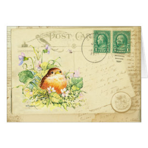 Baby Robin with Violets Postcard