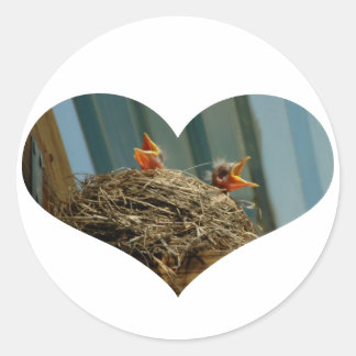 Baby Robins Heart Sticker
