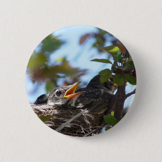 Baby Robins in the Nest Button